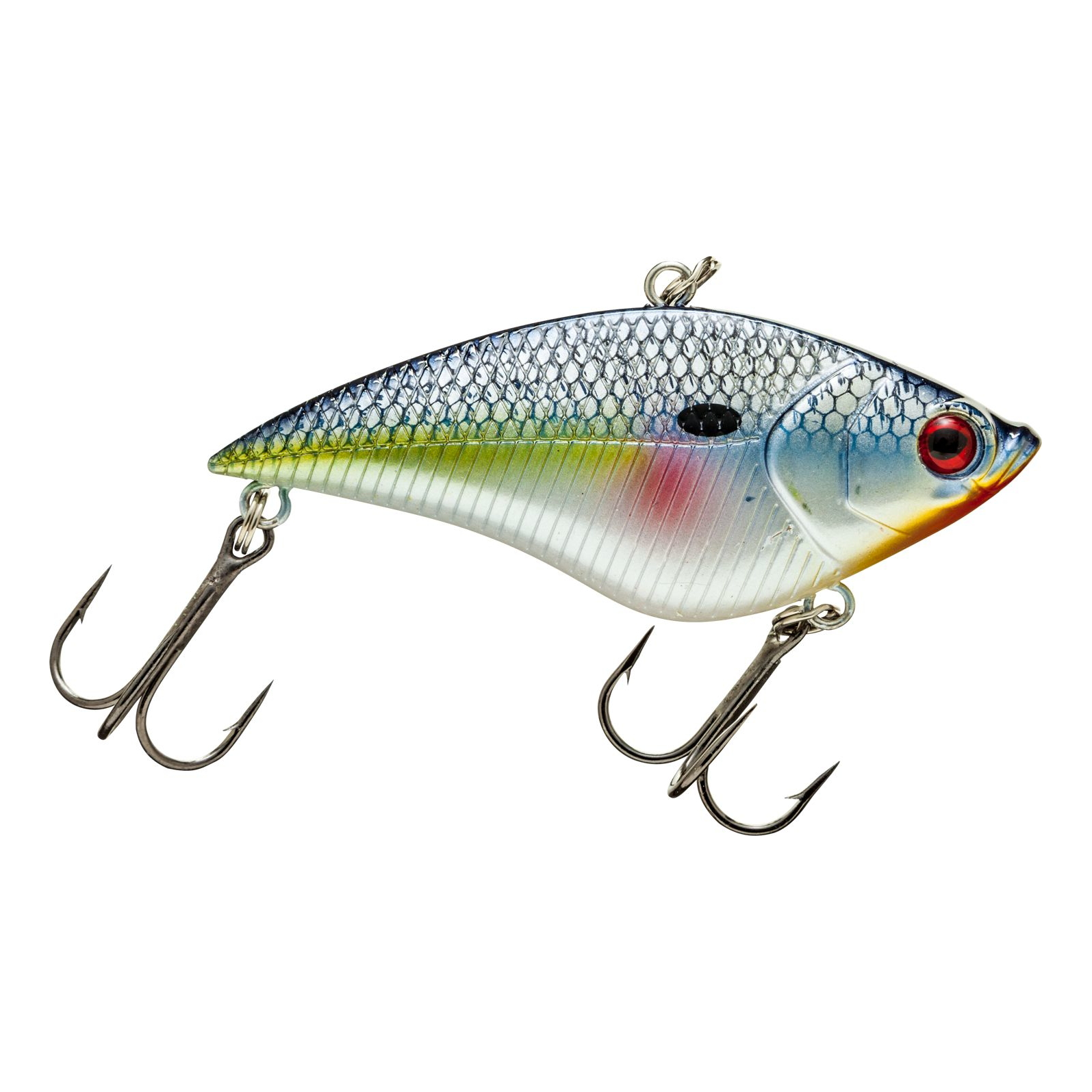 Bass Pro Shops XPS Rattle Shad - 2-3/4